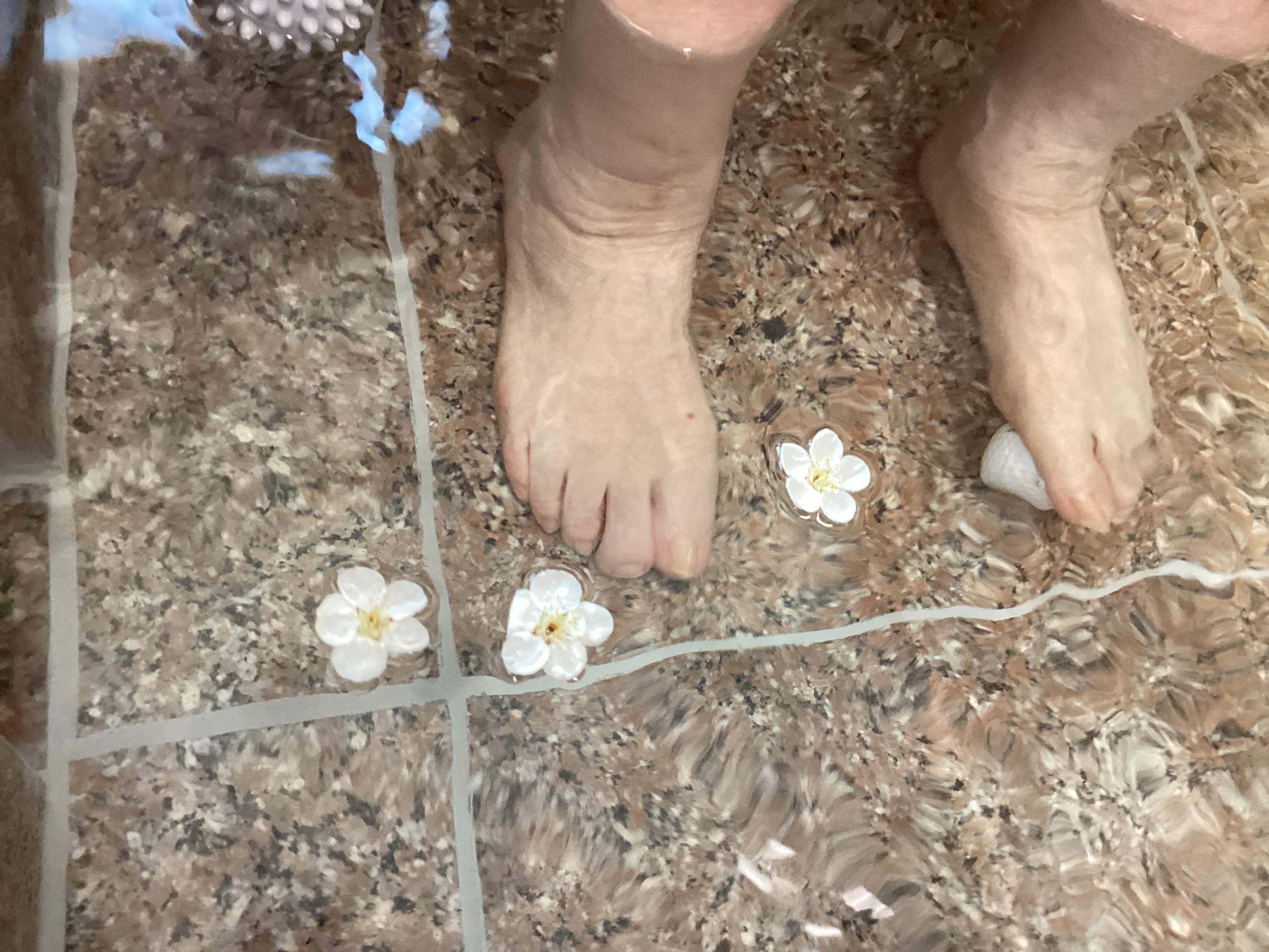 アクティブ のどか