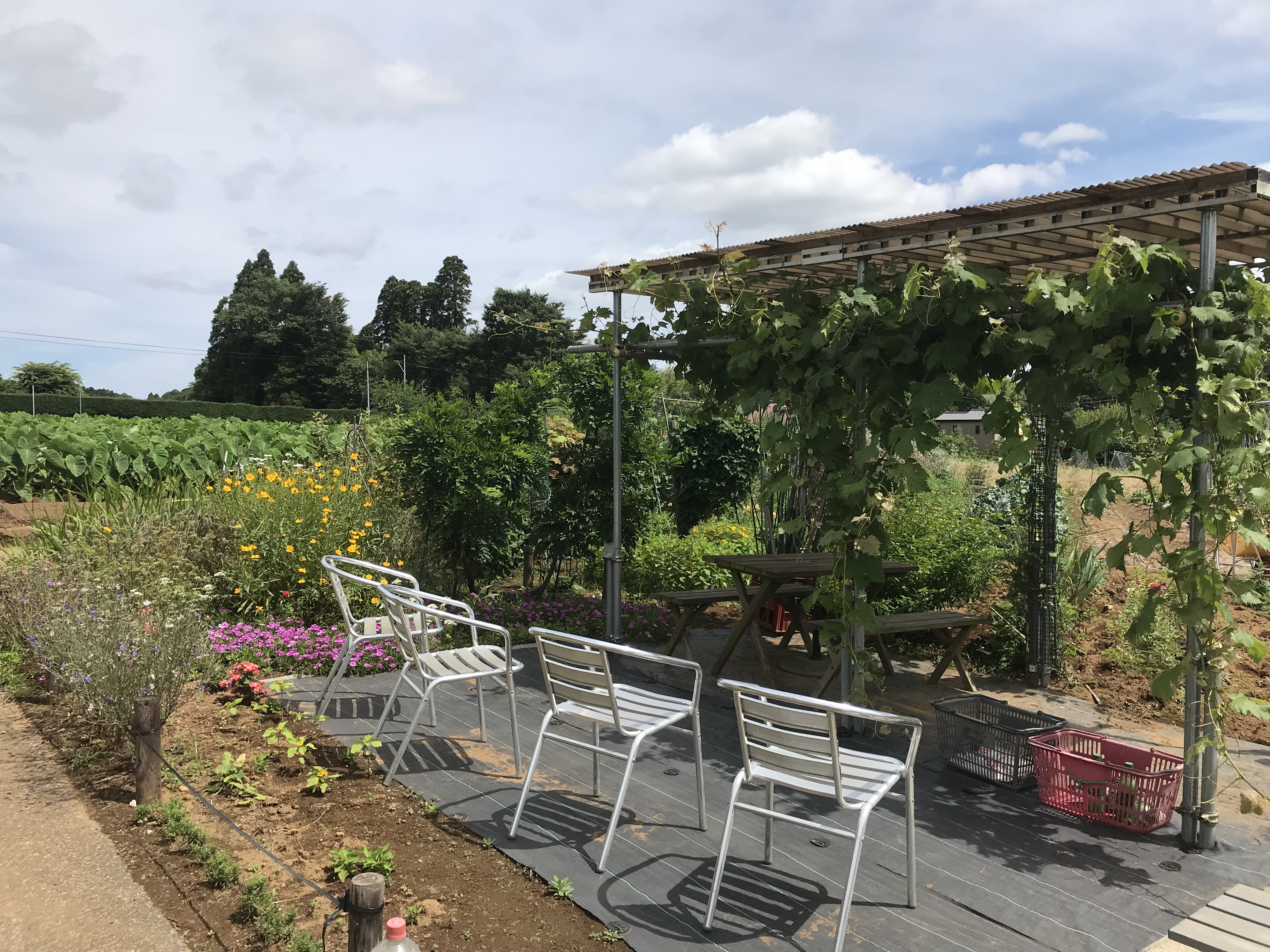 就労継続支援B型事業所のどかファーム