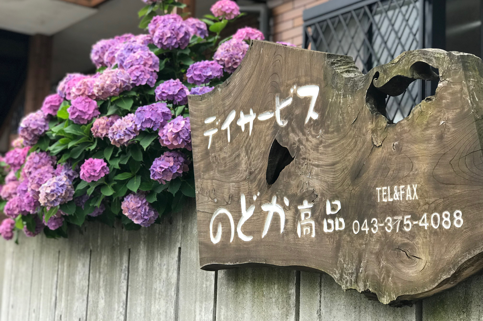 デイサービス のどか高品