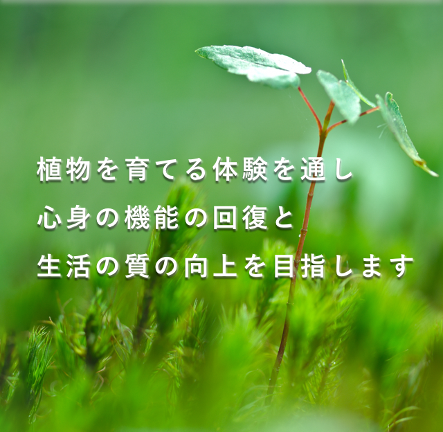 植物を育てる体験を通し心身の機能の回復と生活の質の向上を目指します