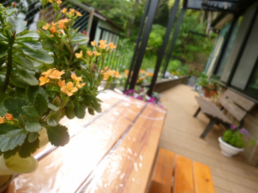 デイサービス のどか